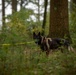 Spangdahlem SERE Prepares 1-214 GSAB for Survival Challenges