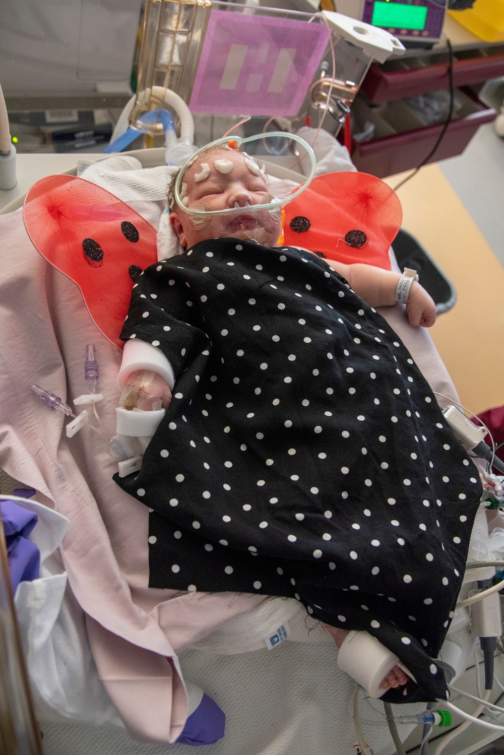 Walter Reed's NICU Infants Celebrate Their First Halloween