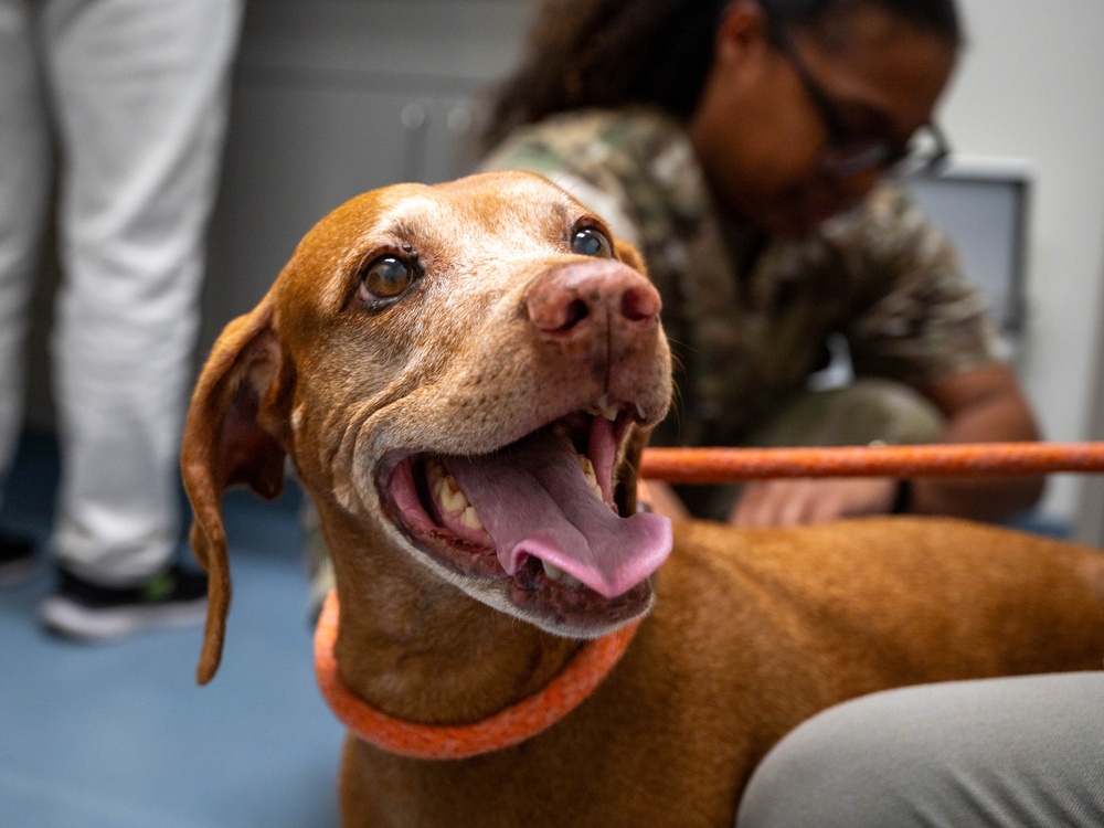 Veterinary Clinic Holds Ribbon Cutting for New Facility