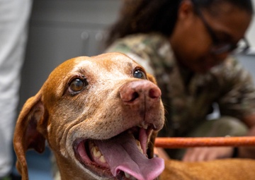 Luke Veterinary Clinic Holds Ribbon Cutting for New Facility