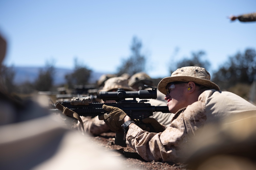 3d LCT conducts grenade and rifle ranges at PTA