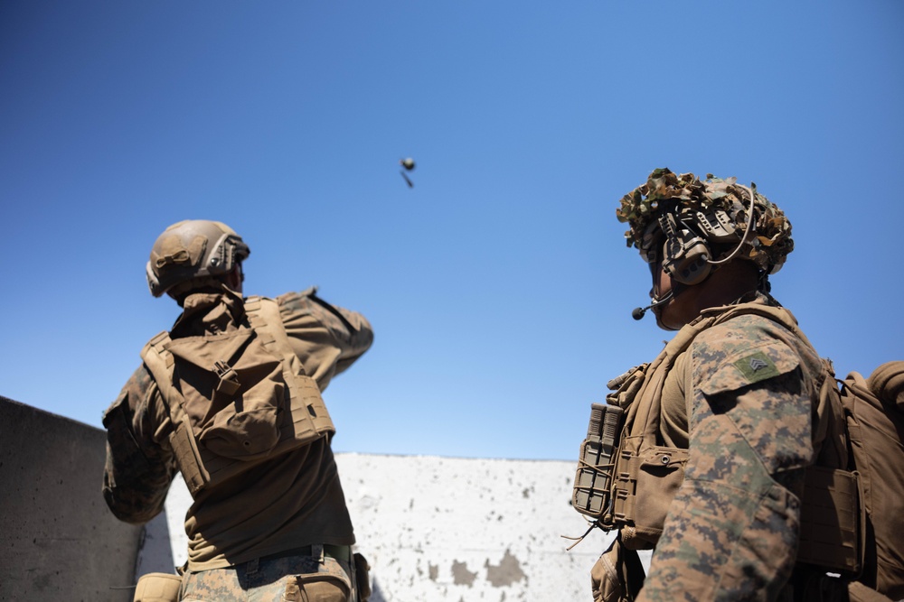 3d LCT conducts grenade and rifle ranges at PTA