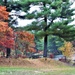 Fort McCoy's Pine View Recreation Area