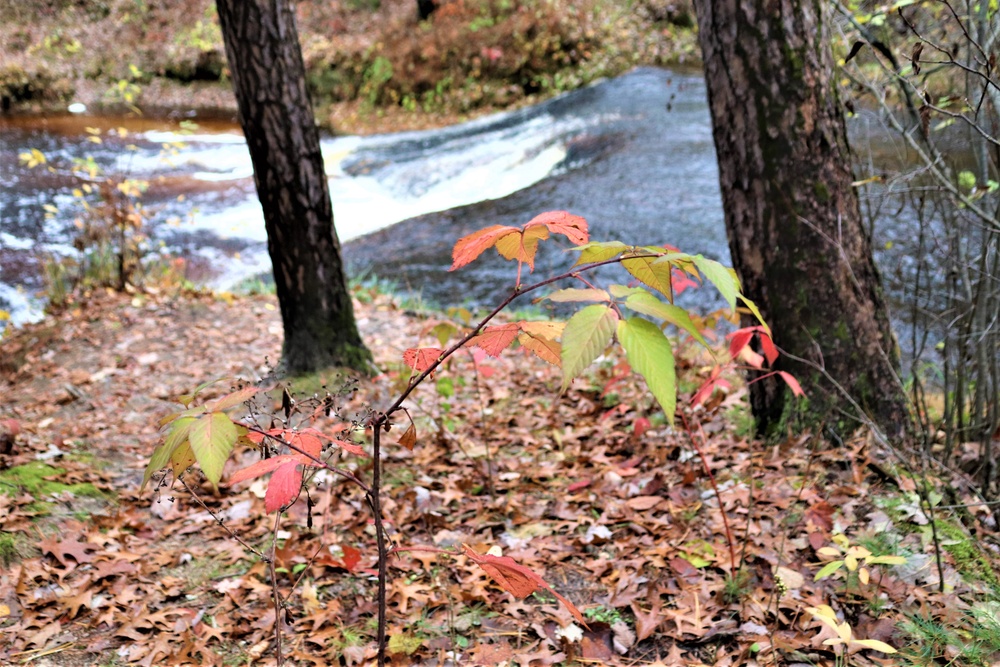 Fall 2023 Scenes at Trout Falls at Fort McCoy's Pine View Recreation Area