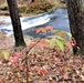 Fall 2023 Scenes at Trout Falls at Fort McCoy's Pine View Recreation Area