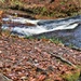 Fall 2023 Scenes at Trout Falls at Fort McCoy's Pine View Recreation Area