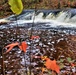 Fall 2023 Scenes at Trout Falls at Fort McCoy's Pine View Recreation Area