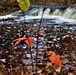 Fall 2023 Scenes at Trout Falls at Fort McCoy's Pine View Recreation Area
