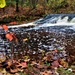 Fall 2023 Scenes at Trout Falls at Fort McCoy's Pine View Recreation Area