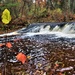 Fall 2023 Scenes at Trout Falls at Fort McCoy's Pine View Recreation Area