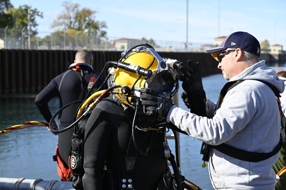 Diver in the water