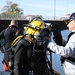 Diver in the water