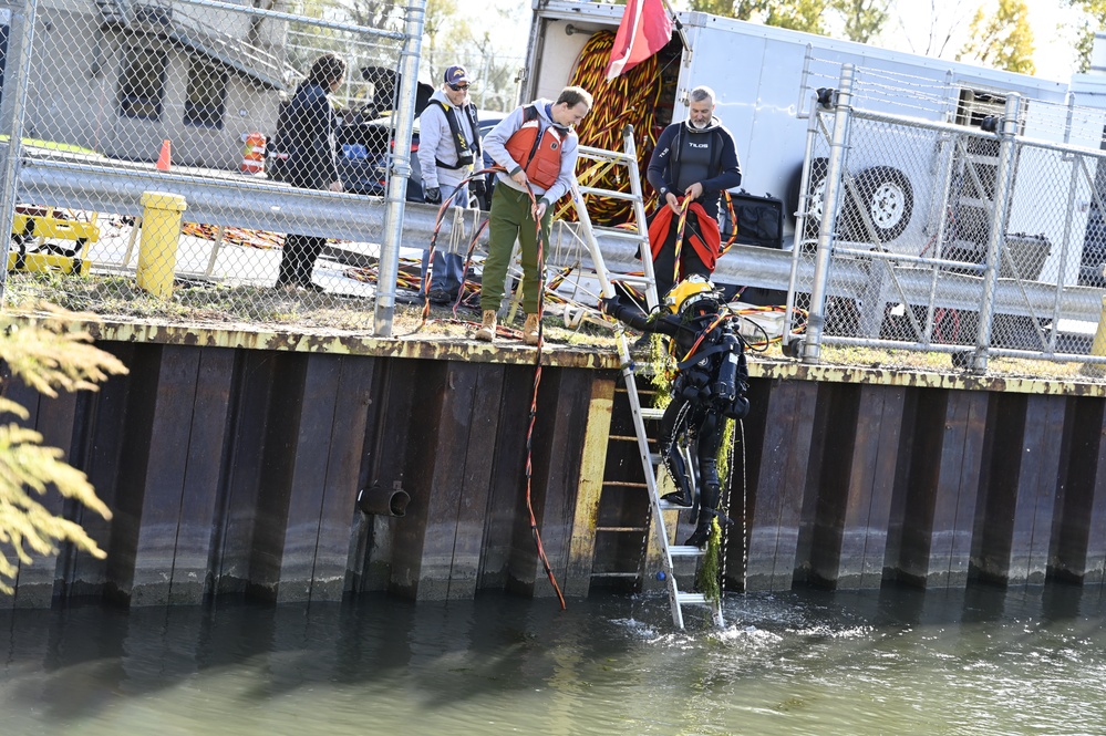 Diver in the water