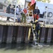 Diver in the water
