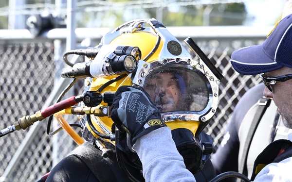 Diver in the water