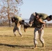 MARFORCOM Marines Celebrate the 248th USMC Birthday with HITT