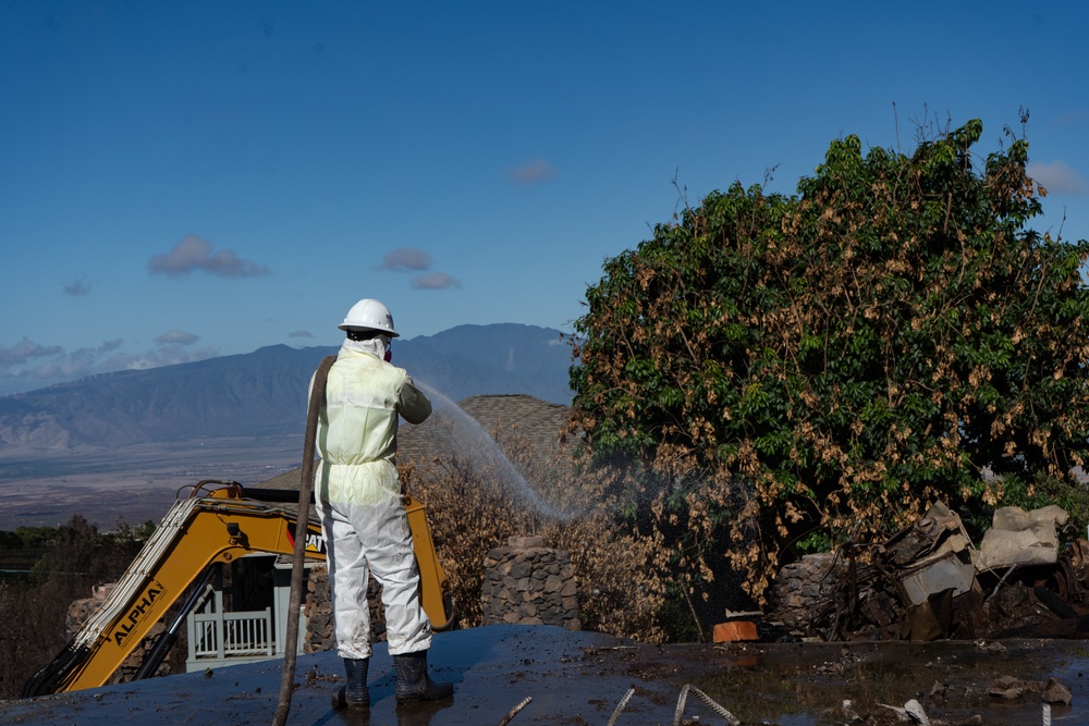 Hawaii Wildfire Recovery