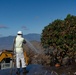 Hawaii Wildfire Recovery