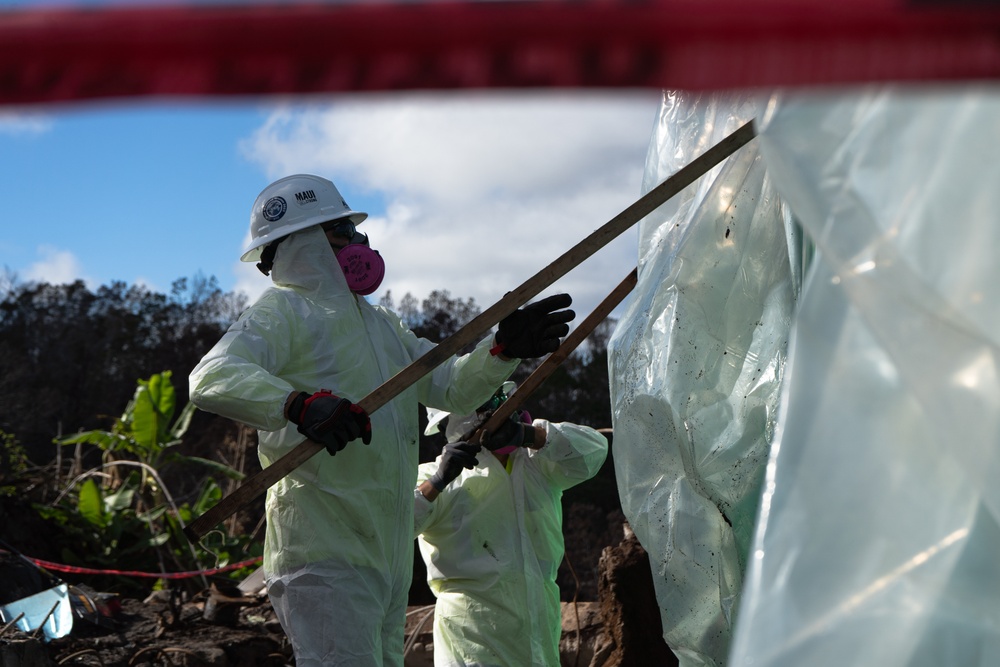 Hawaii Wildfire Recovery