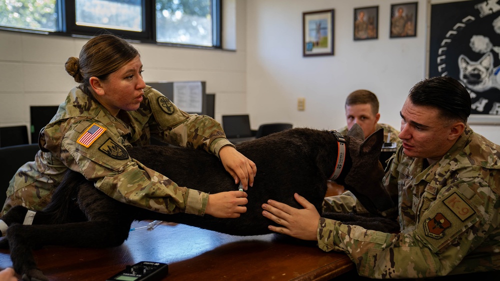 81st SFS trains with K-9 Diesel