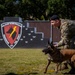 81st SFS trains with K-9 Diesel