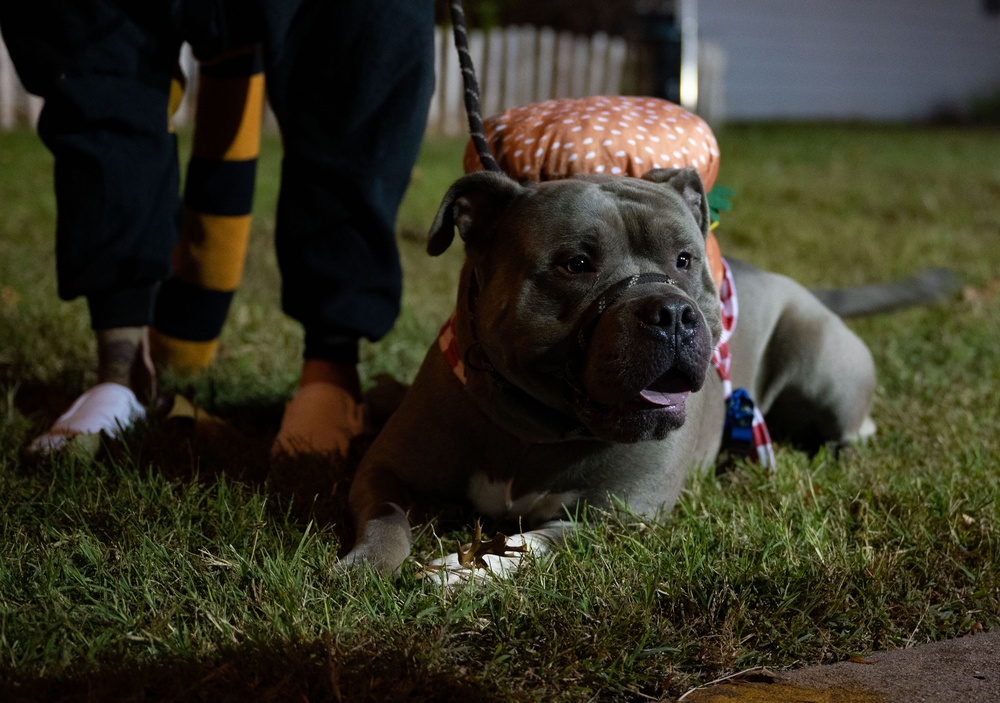 DVIDS Images Dover AFB Fangtastic trickortreating [Image 5 of 8]