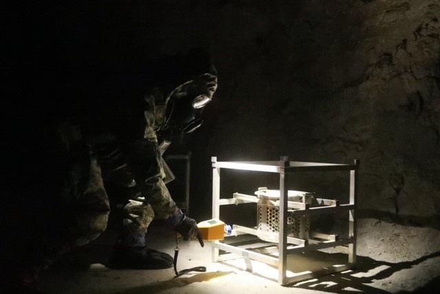 5th SFG (A) Soldiers Hone CBRN Skills at Dugway