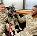 Red Cross lets the dogs out
