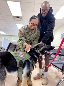 Red Cross lets the dogs out