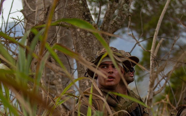 Charlie and Bravo Co. 2-27’s Mount and Trail Assault- JPMRC 24-01