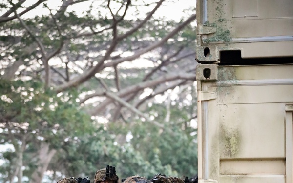 "Wolfhounds" conduct an assault at South Range on Schofield Barracks, Hawaii.