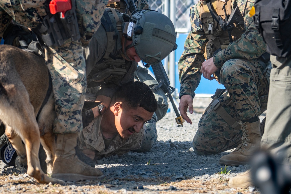 Exercise Active Shield 2023: Provost Marshal Office responds to call