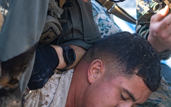 Exercise Active Shield 2023: Provost Marshal Office responds to call