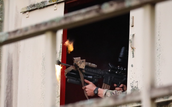 "Wolfhounds" conduct an assault at South Range on Schofield Barracks, Hawaii.