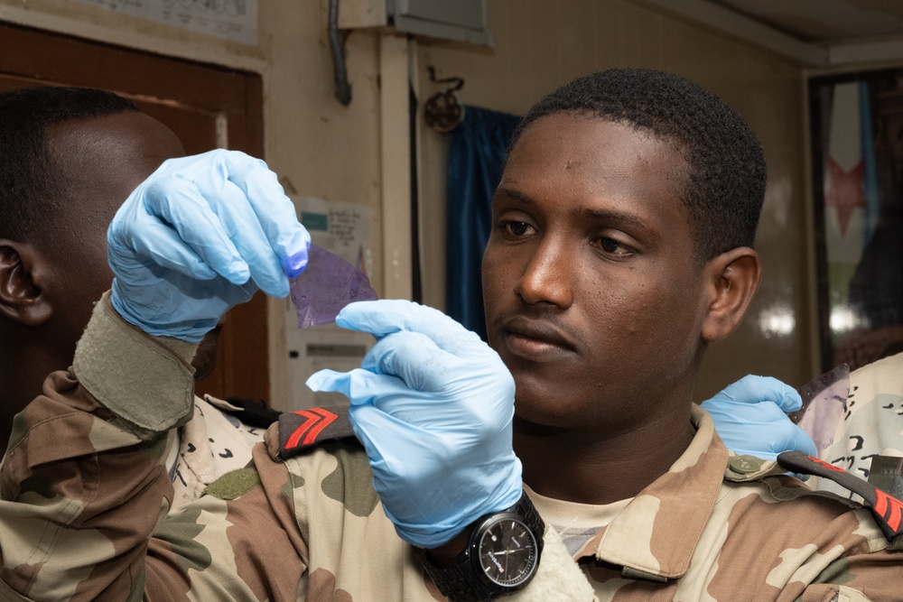 U.S. and Djiboutian Partners Conduct Forensic Training Exercise