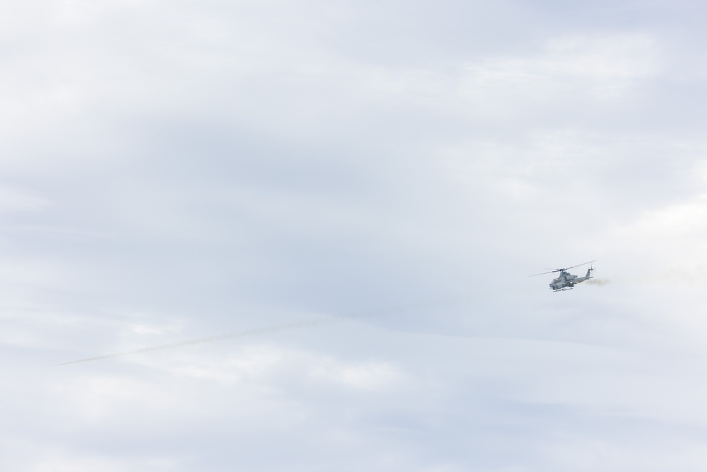 Resolute Dragon 23 FTX | III MIG, JGSDF Close Air Support Training