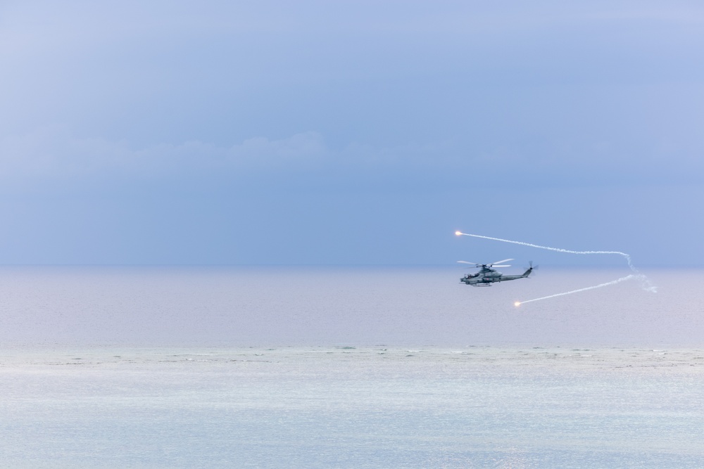 Resolute Dragon 23 FTX | III MIG, JGSDF Close Air Support Training