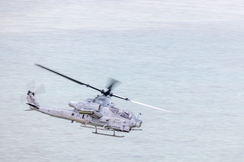 Resolute Dragon 23 FTX | III MIG, JGSDF Close Air Support Training