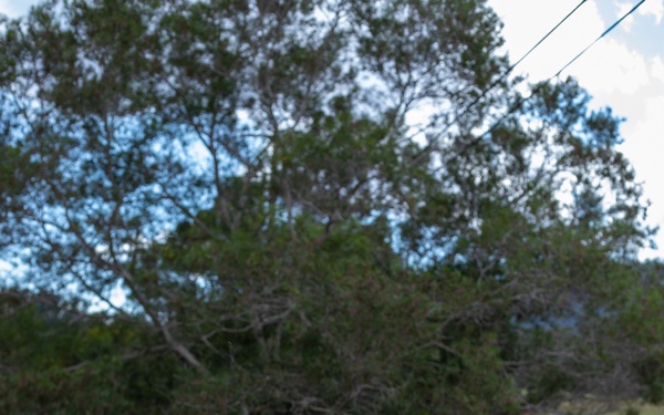 US Soldiers defend objective during JPMRC 24-01