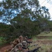 US Soldiers defend objective during JPMRC 24-01