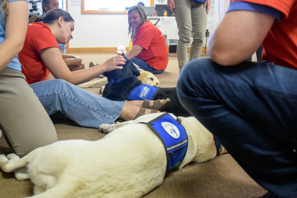 Therapy dogs visit Hawaii Wildfire Recovery Field Office in Kihei, Hawai‘i