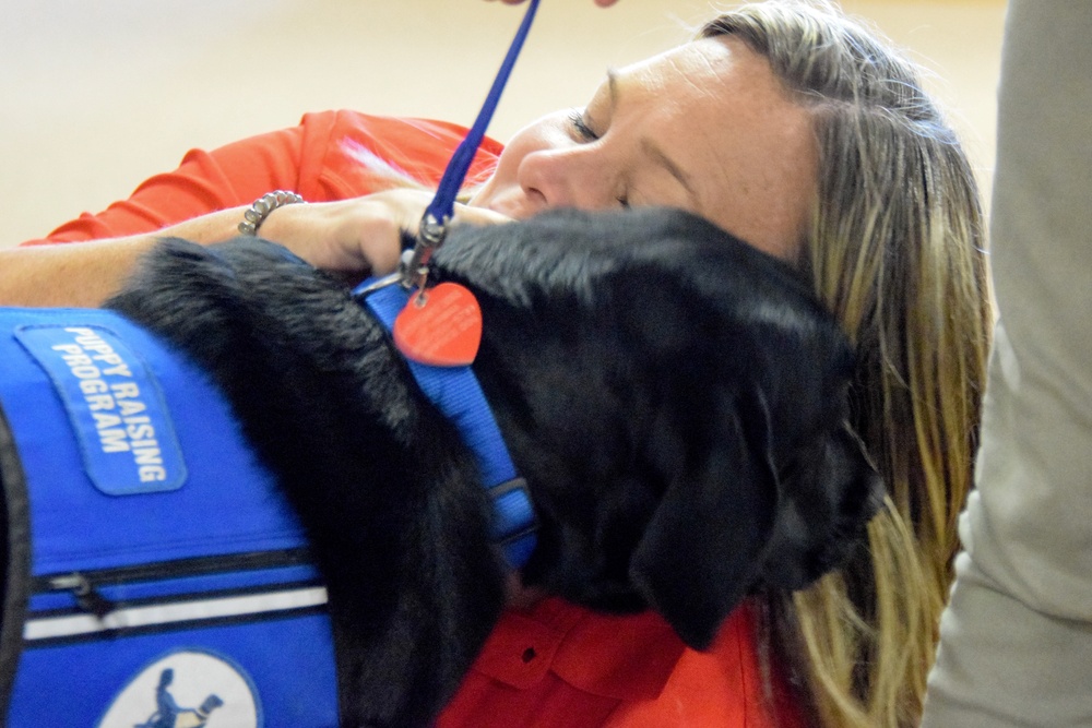 Therapy dogs visit Hawaii Wildfire Recovery Field Office in Kihei, Hawai‘i