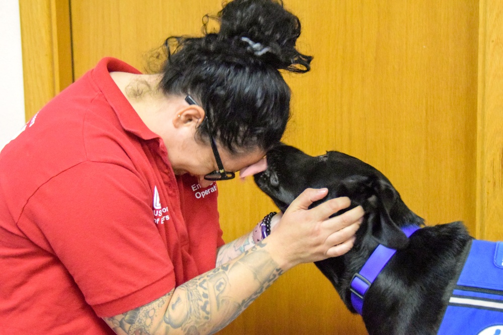 Therapy dogs visit Hawaii Wildfire Recovery Field Office in Kihei, Hawai‘i