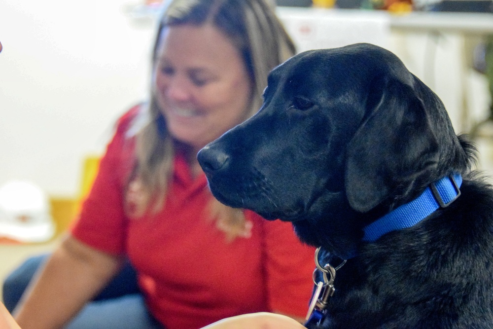 Therapy dogs visit Hawaii Wildfire Recovery Field Office in Kihei, Hawai‘i