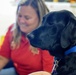 Therapy dogs visit Hawaii Wildfire Recovery Field Office in Kihei, Hawai‘i