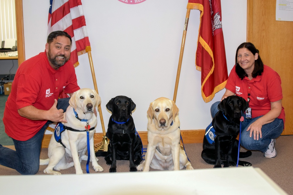 Therapy dogs visit Hawaii Wildfire Recovery Field Office in Kihei, Hawai‘i