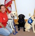 Therapy dogs visit Hawaii Wildfire Recovery Field Office in Kihei, Hawai‘i