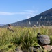 RD 23 FTX: V22, JGSDF Casualty Evacuation Drill at Hijyudai Maneuver Area