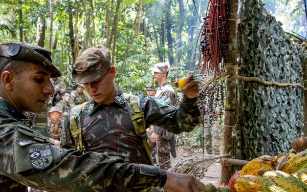 Southern Vanguard 24 Soldiers attend Brazilian Jungle Familiarization Course