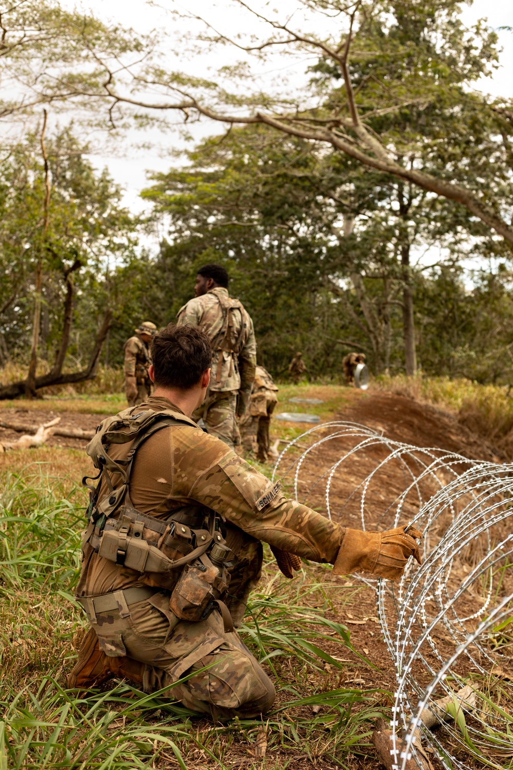 25th Infantry Division Infantry Soldiers establish defenses during JPMRC 24-01